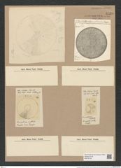 Coscinodiscus subtilis Ehr. (de-Toni-Nr.: Genus 202, Species 4941) Zeichnungen Sammlung Grunow Nr. 8530 (NHMW-BOT-W0378159)